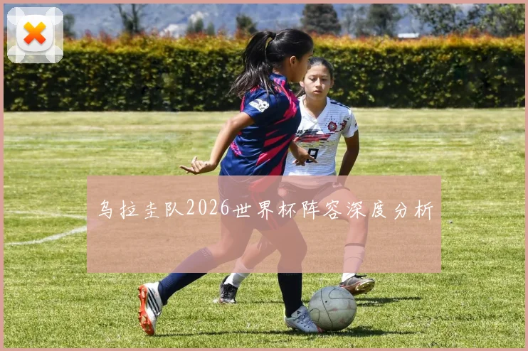 乌拉圭队2026世界杯阵容深度分析