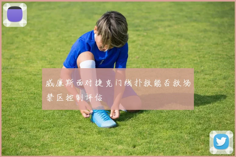 威廉斯面对捷克门线扑救能否救场禁区控制评估