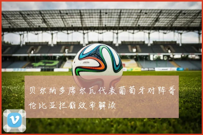 贝尔纳多席尔瓦代表葡萄牙对阵哥伦比亚拦截效率解读